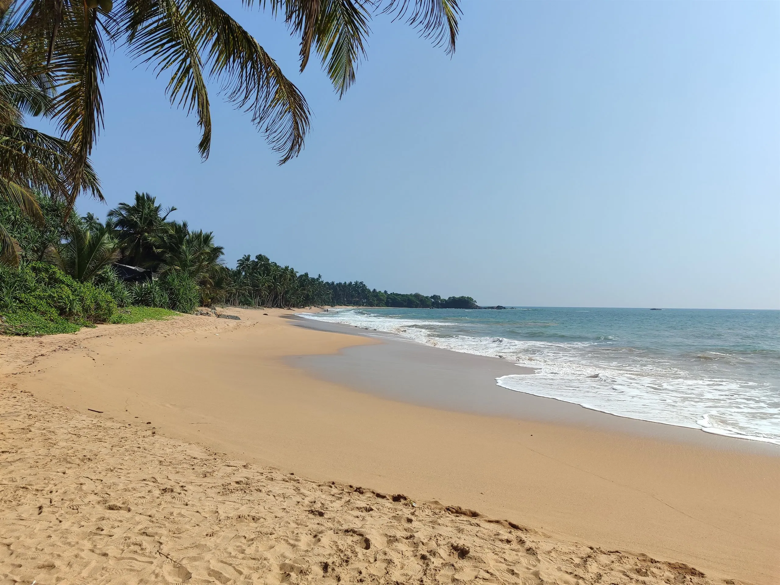 Palmengesäumter Sand und ruhiges Meer an der Westküste