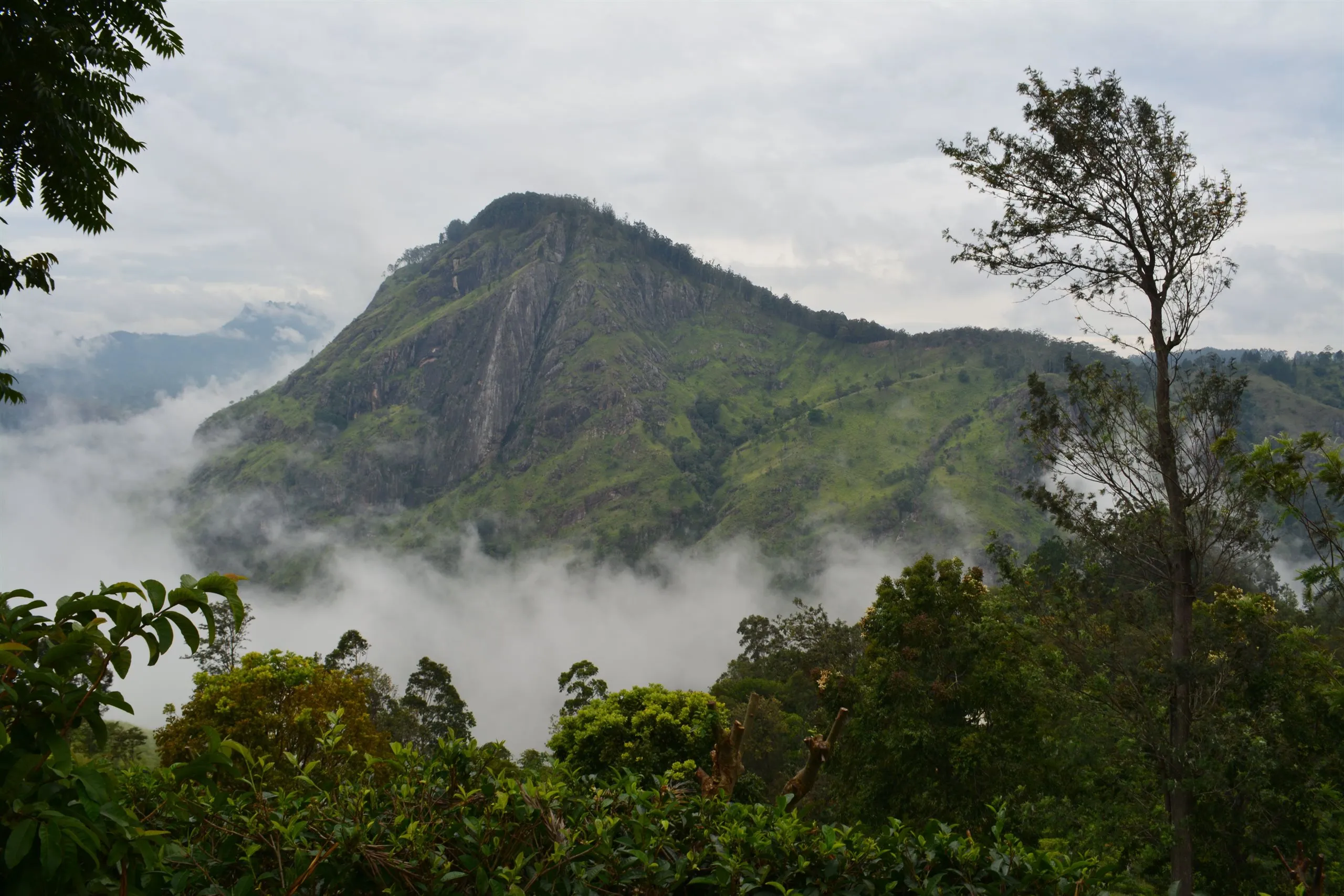 Little Adam's Peak u Elly v ranní mlze