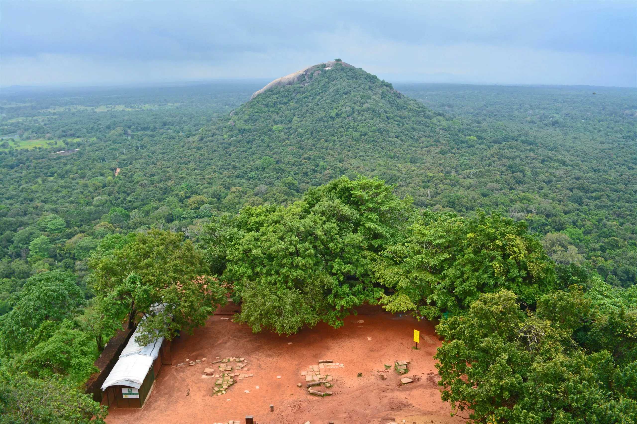 Dschungel bis zum Horizont, gesehen vom Gipfel des Sigiriya
