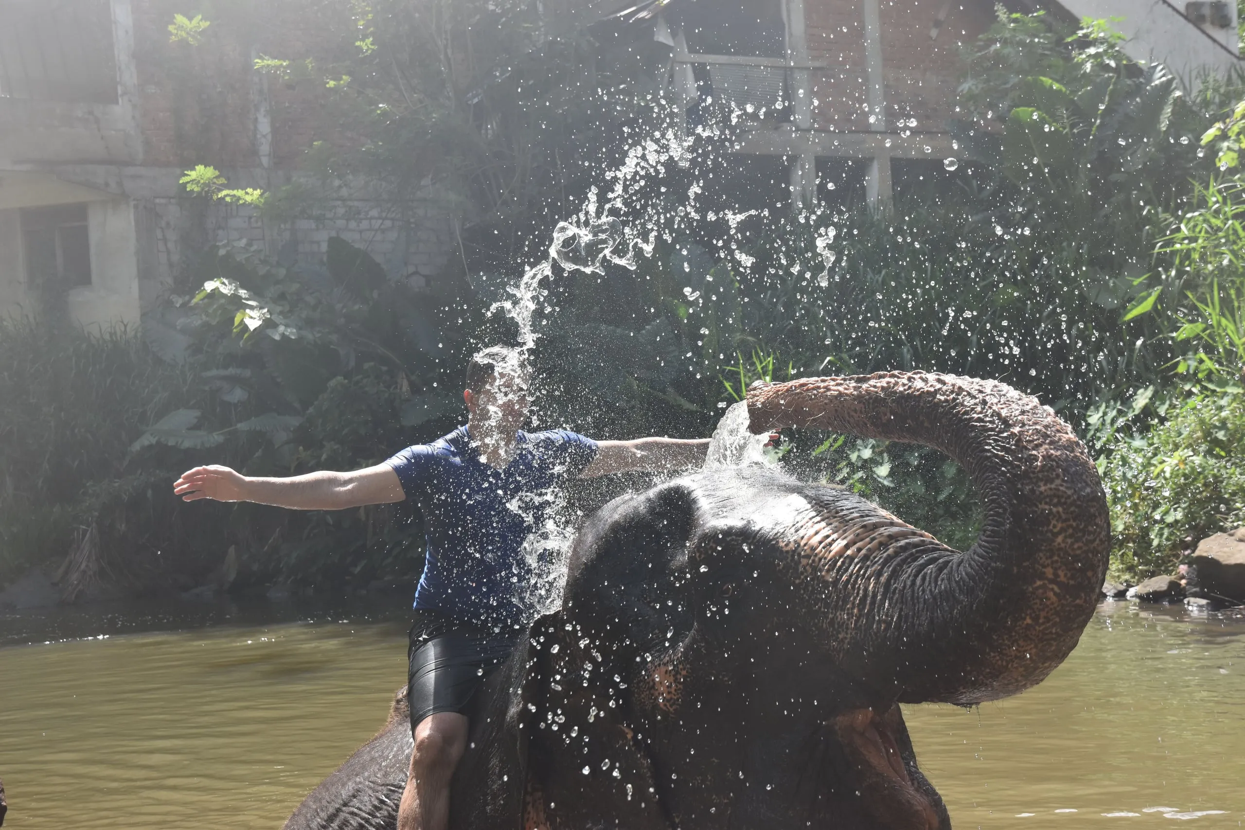Ein Gast sitzt mit ausgebreiteten Armen auf einem Elefanten im Fluss, der ihn mit Wasser abduscht